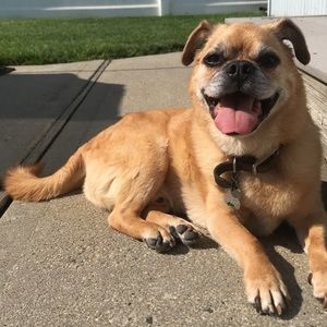 Meet your Posher, Anthony